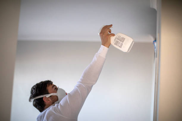 Best Commercial Mold Removal  in Cambridge City, IN